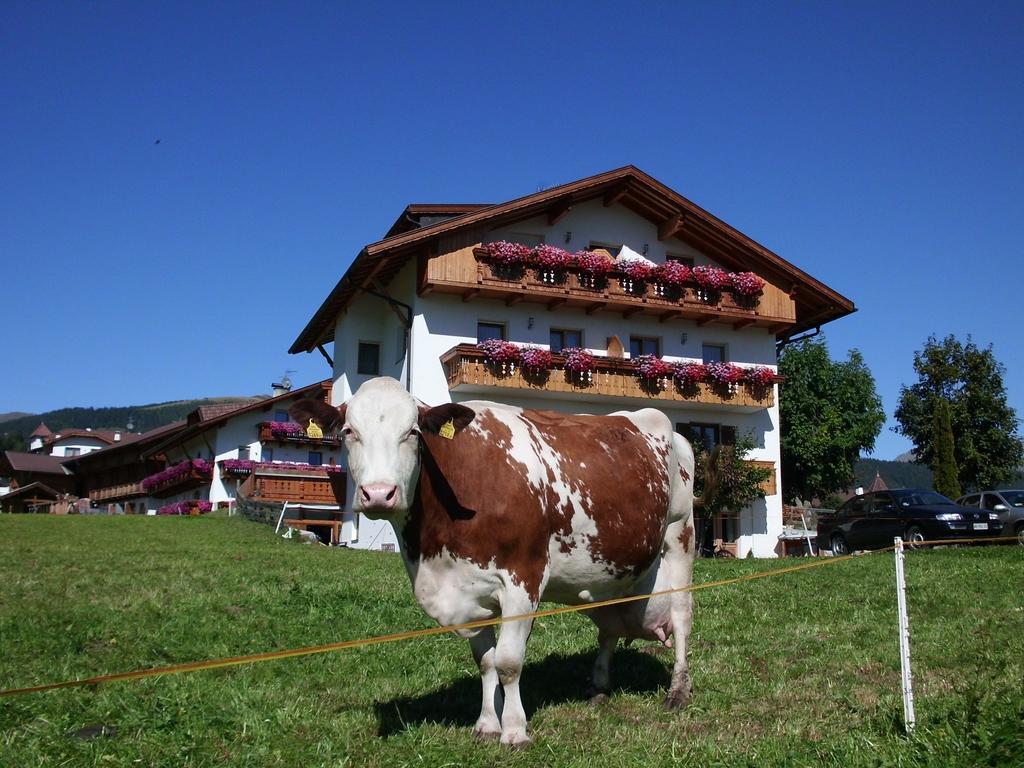 Apartmán Rosenheim Maranza Exteriér fotografie